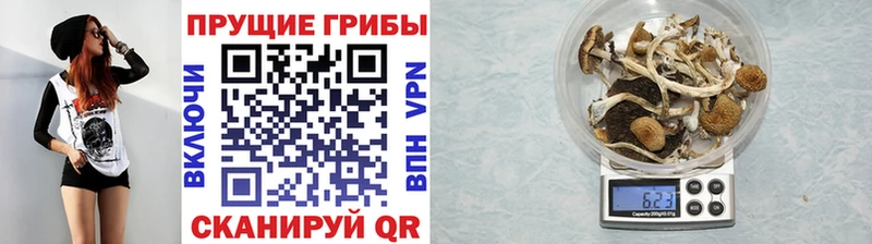 mega ONION  Берёзовский  Галлюциногенные грибы мицелий 
